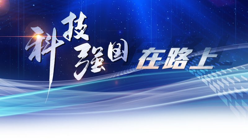 技术外包平台选型的五大关键考量**