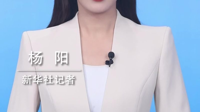 数据备份与容灾：策略与方案的区别解析